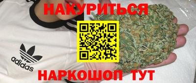 jwh Будённовск