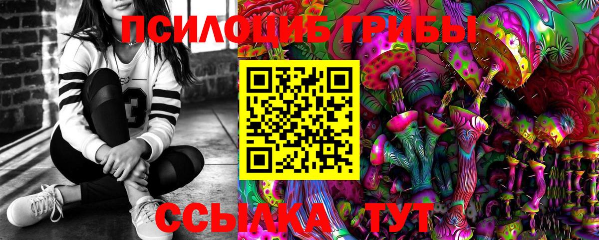 Псилоцибиновые грибы GOLDEN TEACHER Моздок