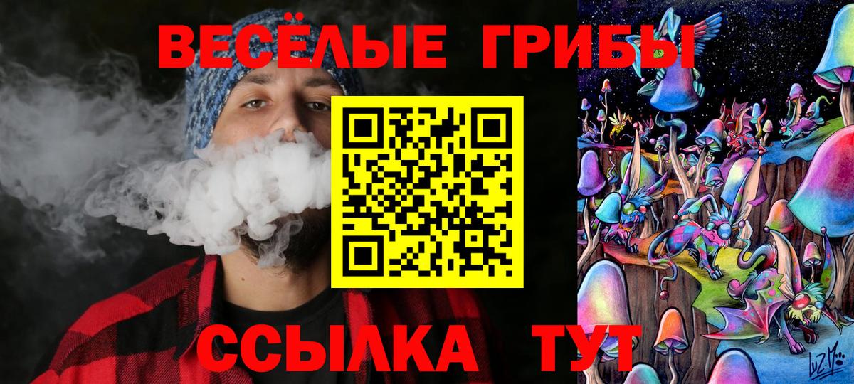 Галлюциногенные грибы Psilocybine cubensis  Вход с VPN  Моздок 