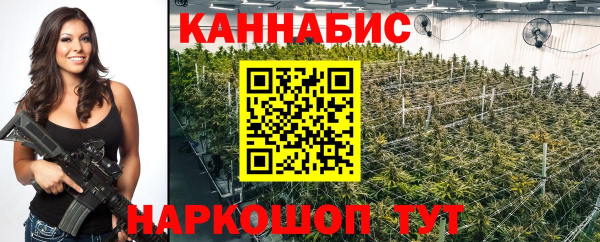 МАРИХУАНА план Моздок
